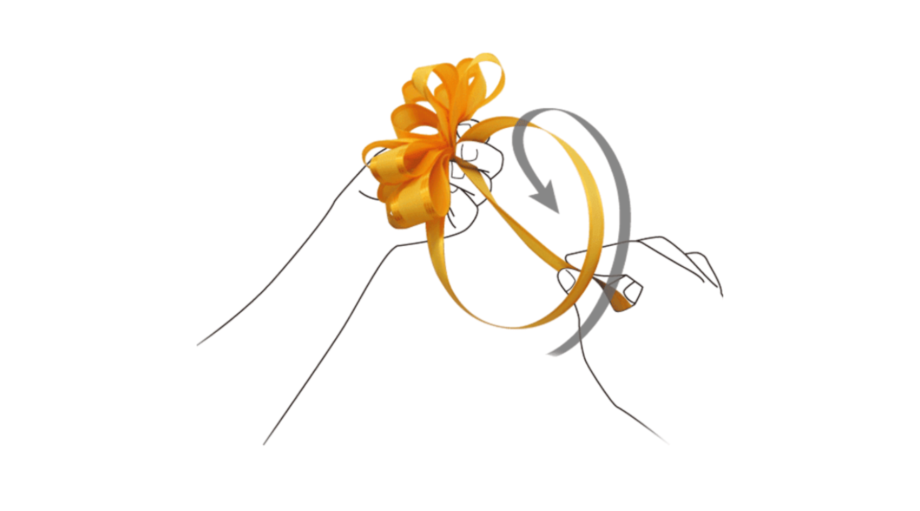 フレンチボウ_11