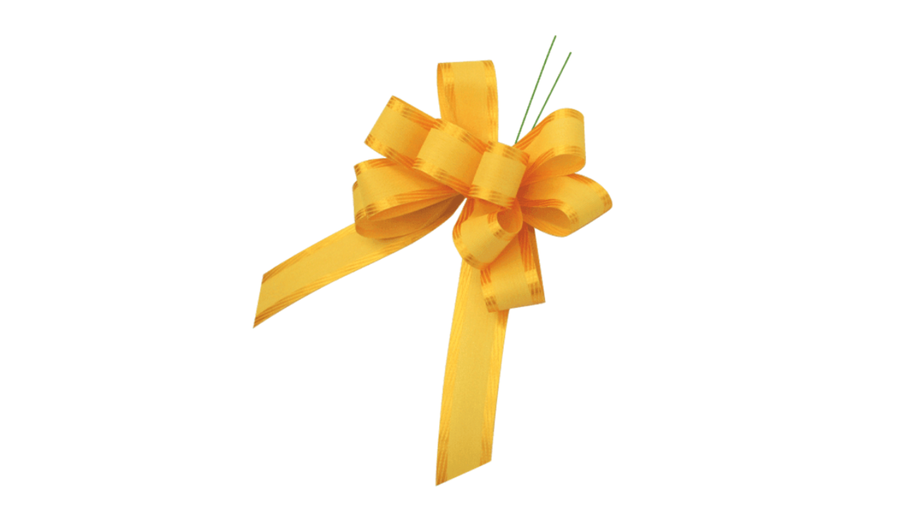 フレンチボウ_15