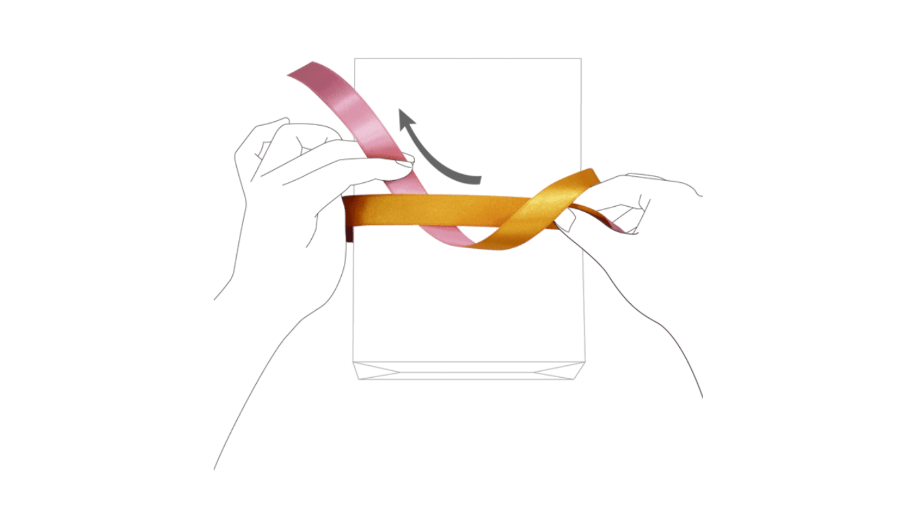 蝶結び　表裏ありB_5