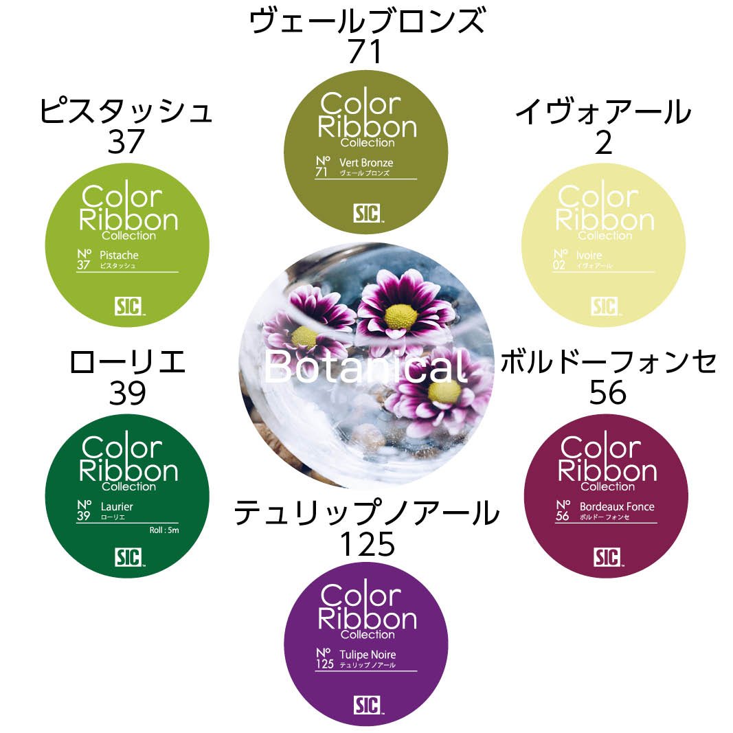 21903 カラーリボンコレクション 12X5M 12 使用例