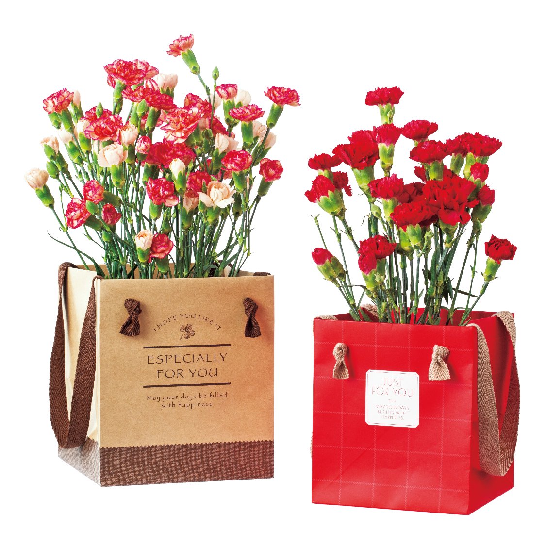 87172 デザインポットバッグ 4号/10枚 1 使用例