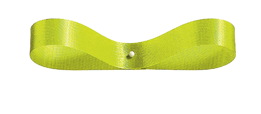 エクセルサテン