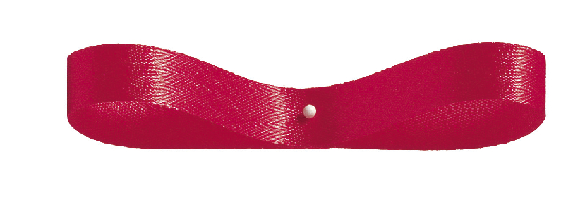 エクセルサテン