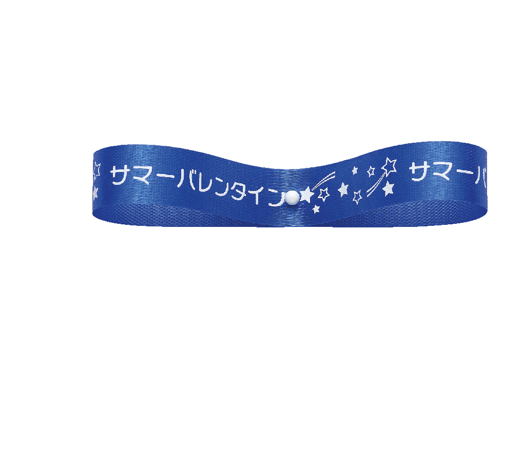サマーVエクセル12