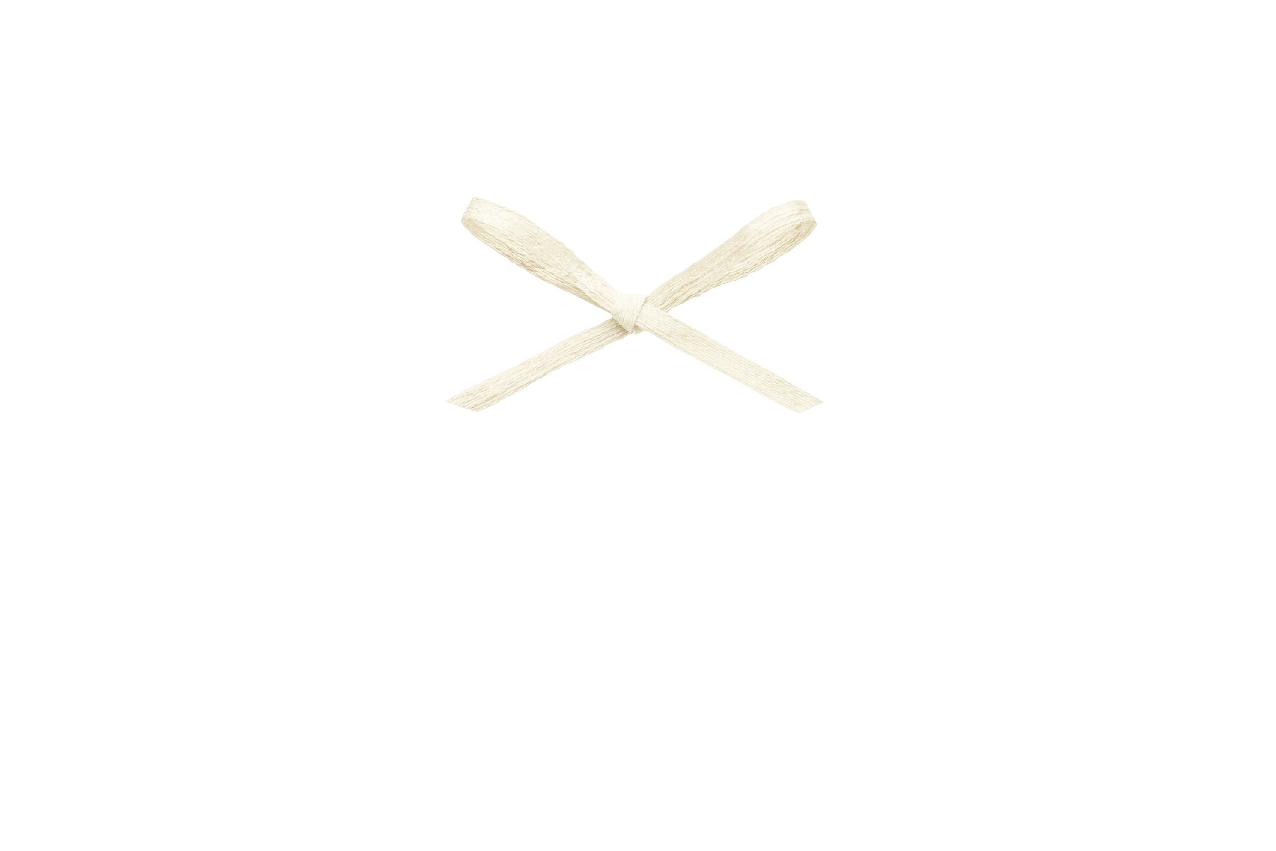 フィルコットン