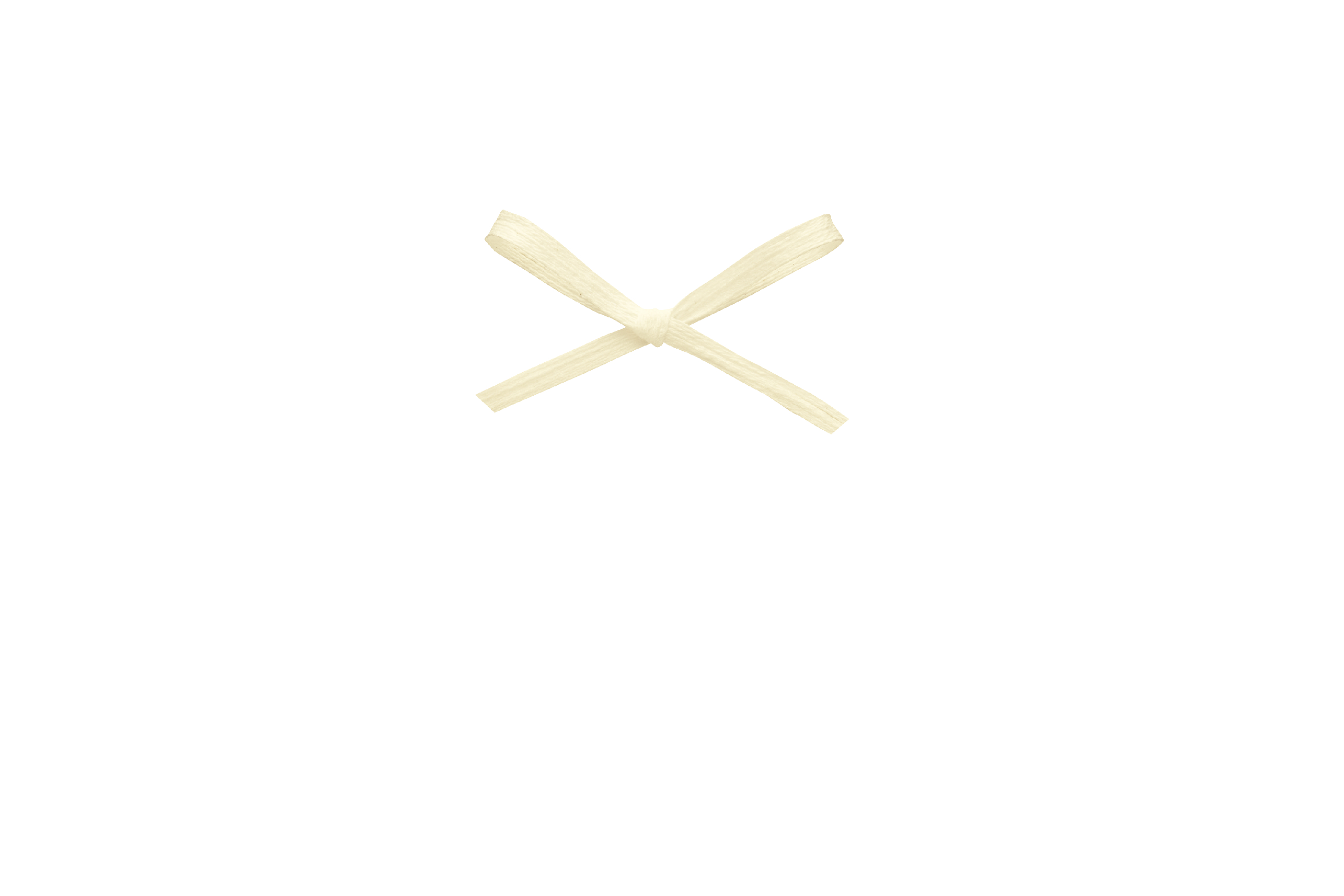 フィルコットン