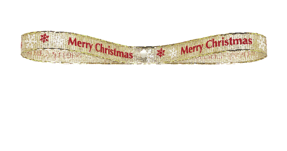 シャイニークリスマス
